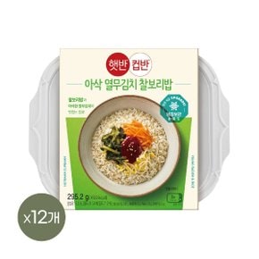 햇반 컵반 BIG 아삭한 열무비빔밥 295g x12개