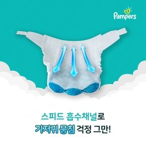 베이비드라이 밴드형 기저귀 2,3,4,5,5+단계 1박스 모음전