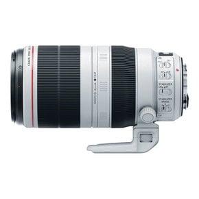 캐논공식총판 EF 100-400mm F4.5-5.6L IS II USM + 포켓융