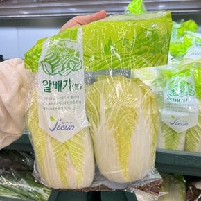 트레이더스 알배기 배추 2개입