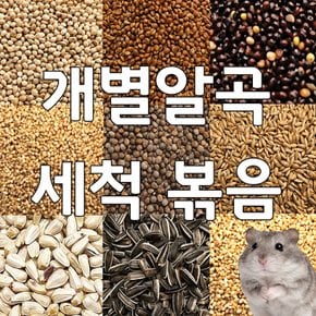 햄스터 간식 세척 볶음 알곡 사료 먹이 간식 기장 조 들깨 씨드 홍화씨 해바라기씨