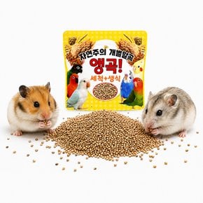 햄스터 간식 세척 볶음 알곡 사료 먹이 간식 기장 조 들깨 씨드 홍화씨 해바라기씨