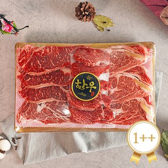 감동 [냉장][순천참한우유통] 1++구이2호 1kg(등심400g+안심300g+채끝300g) 한우선물세트