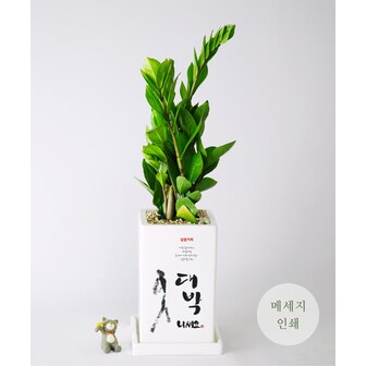 화분이야기 [화분이야기 캘리그라피] 하시는 모든일.. 대박나세요 + 메세지인쇄