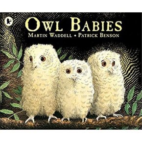 (중고/중)Owl Babies