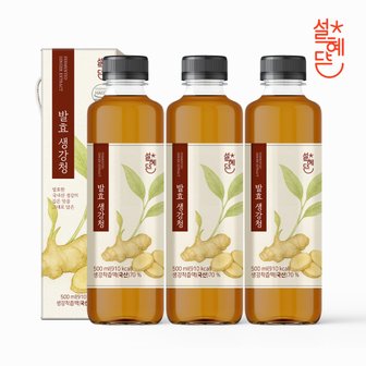 홀라이프 설혜담 발효생강청 500ml x 3병