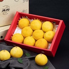 제주 황금향 선물세트 2.5kg (실중량/8과내외) x 2박스