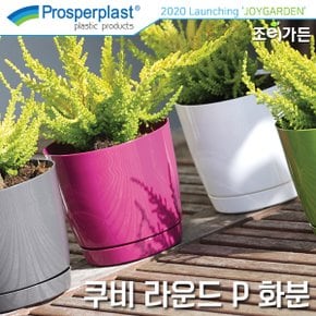 Prosperplast 쿠비 라운드 P 화분 (받침포함)