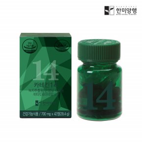 먹는 알로에 전잎 녹차 추출물 카테킨14 700mgx42캡슐 (14일분)