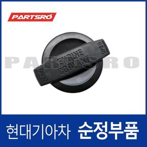 라디에이터 리저버 캡(냉각수통 뚜껑) (25441B1000) 그랜저IG, 쏘나타LF, 제네시스, EQ900, G80, G90, 그랜져 하이브리드, 넥쏘, 쏘나타LF 하이브리드 현대모비스부품몰