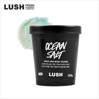 LUSH [백화점] 오션 솔트 250g - 페이스 앤 보디 스크럽/스크럽