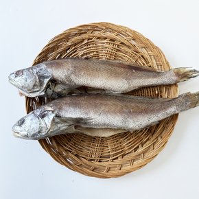 국내산 반건조 통 민어 2미(1미당 280g-300g내외)