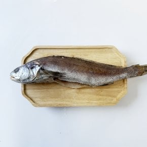 국내산 반건조 통 민어 2미(1미당 280g-300g내외)