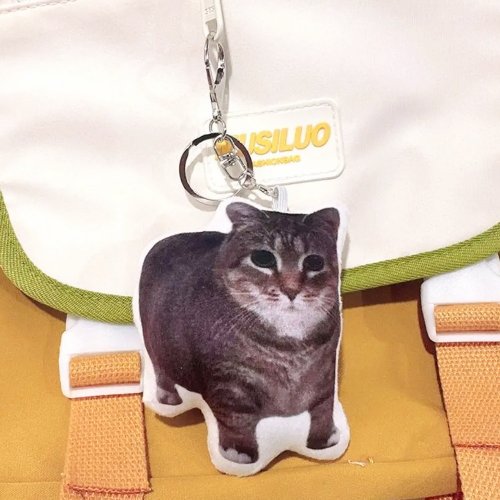 이미지1