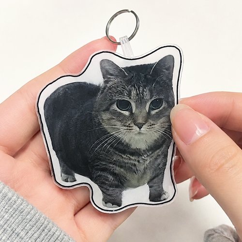 이미지2