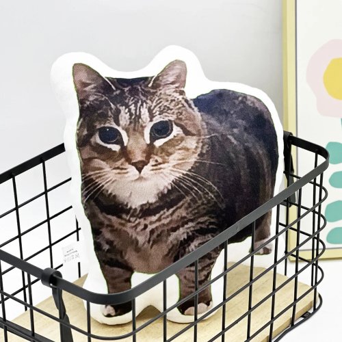 이미지3