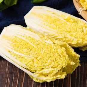 알배기 쌈배추 알배추 중 10~12포기 (포기당 600g-1kg내외)