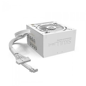 SKULL 850SM MODULAR ATX 3.0 파워 80PLUS GOLD WHITE (PCIE5)