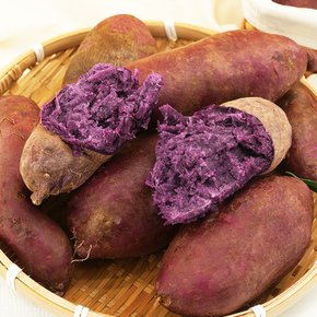 해남 자색고구마 5kg 못난이