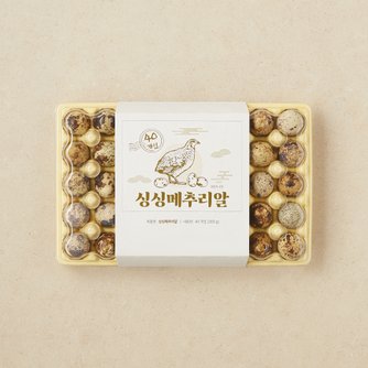 Global Gmarket Mobile 검색결과 >메추리알, 이마트몰, 당신과 가장 가까운 이마트” style=”width:100%” title=”검색결과 >메추리알, 이마트몰, 당신과 가장 가까운 이마트”><figcaption>검색결과 >메추리알, 이마트몰, 당신과 가장 가까운 이마트</figcaption></figure>
<figure><img decoding=