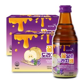 [영진] 꿀담은 도라지배 210ml x 8병 총2박스