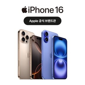 iPhone 16 시리즈