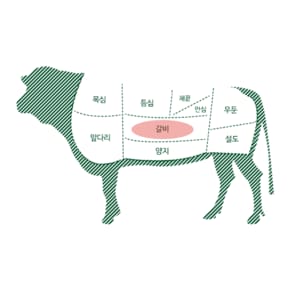 1++(9) 투플러스 나인 웻에이징 숙성 한우 갈비살 200g 구이용 로스용 늑간살 근내지방도 9