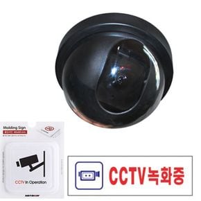모형 돔형 감시카메라 CCTV 사인 카메라