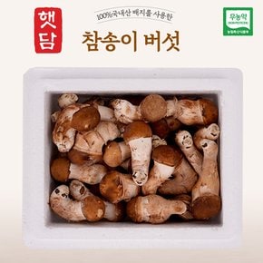 [3+1]햇담 참송이버섯 정품 특대사이즈 상급 500g 1kg 농협에 납품하는 무농약 이천 참송이버섯