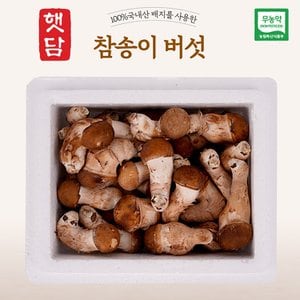  [3+1]햇담 참송이버섯 정품 특대사이즈 상급 500g 1kg 농협에 납품하는 무농약 이천 참송이버섯