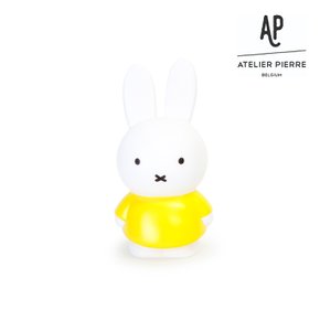 [ATELIER PIERRE] 아뜰리에 피에르 미피 클래식 머니 박스 L 옐로우