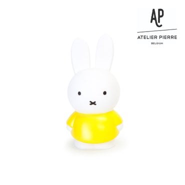 트래드후스 [ATELIER PIERRE] 아뜰리에 피에르 미피 클래식 머니 박스 L 옐로우