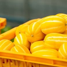 산해직송 (가정용) 참외 랜덤혼합과 / 10kg