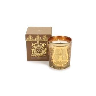 CIRE TRUDON 씨흐 트루동 클래식 캔들 Ernesto 에르네스토 TRU270NOEL21ERN