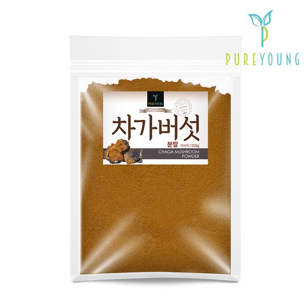 러시아 차가버섯분말 500g