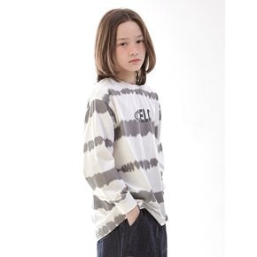 D21 타이다이 로고 (그레이)