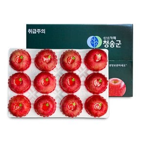 [오늘신선] 경북 청송 명절선물 프리미엄 과일선물 사과세트 5kg(12-13과내)