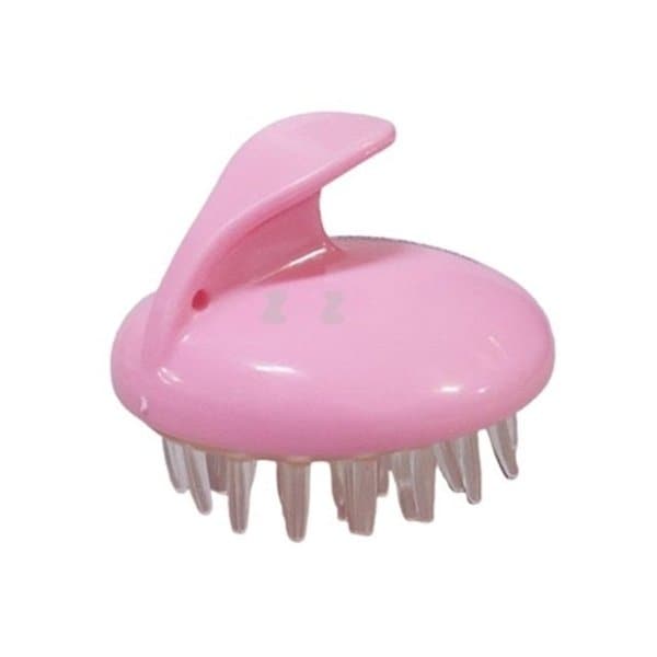 확대된 대표 image1