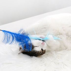 패리스캣 뮬리 캣스틱 고양이 낚시대 깃털 장난감 (색상랜덤)