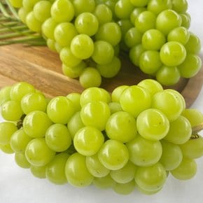 프리미엄 포도 고당도 샤인머스켓 750g