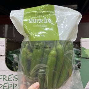 코스트코 오이맛 고추 500g