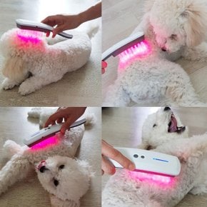 닥터펠로 반려동물 강아지 고양이 피부병 피부치료기