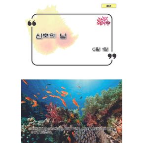 산호의 날