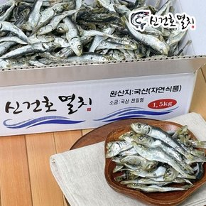 남해안 햇 정어리 멸치 1kg 육수용 청어