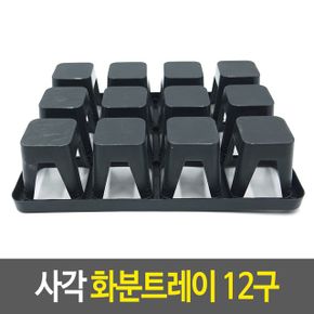 사각 화분트레이 육묘트레이 식물트레이 모종트 12구 X ( 3매입 )