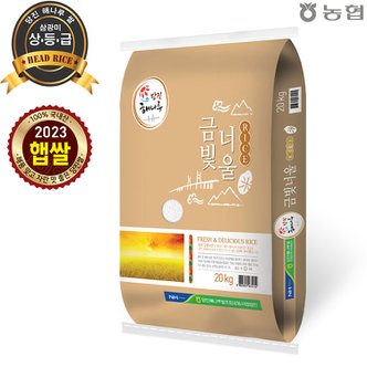  [정기배송가능][출고당일도정] 2023년 햅쌀  당진해나루 금빛너울쌀 삼광미 상등급  쌀20kg