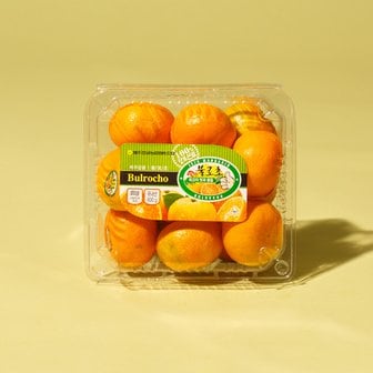  SSG 불로초 감귤 800g/팩