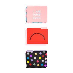 get it sorted file folder set