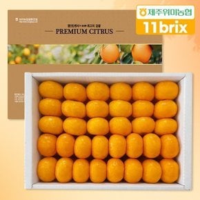 [9/16 순차출고] [제주위미농협] 당도선별 11brix 신선한 하우스감귤 5kg