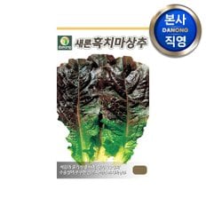 새론 흑치마 상추 씨앗 3g . 야채 채소 텃밭 파종 재배 주말 농장 씨 종자